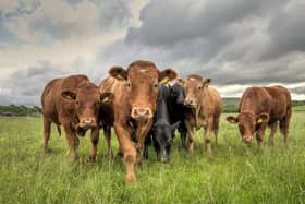 ScotLink members says breeding of low-emissions livestock - which expel lower levels of climate-warming methane when they burp - should be incentivised in Scotland's new agriculture bill