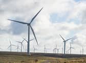 SSE is one of the biggest players in the UK's renewables energy sector. Picture: John Devlin