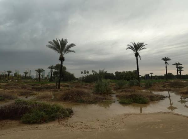 A general view of the golf course as overnight rain causes disruption during the Hero Dubai Desert Classic at Emirates Golf Club. Picture: Luke Walker/Getty Images.