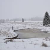 Whether is a river, pond, canal or reservoir – frozen water should be avoided.