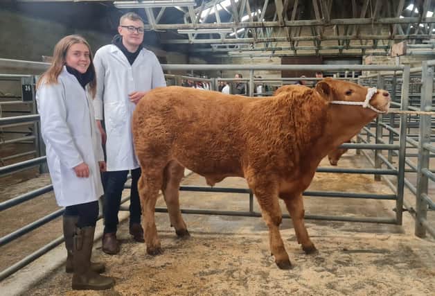 Senior winners of the Beef Cattle Dressing Competition with their calf, Hannah Lorimer and Craig Coutts.