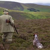 Tensions between some gamekeepers and environmentalists have been running high (Picture: Jeff J Mitchell/Getty Images)