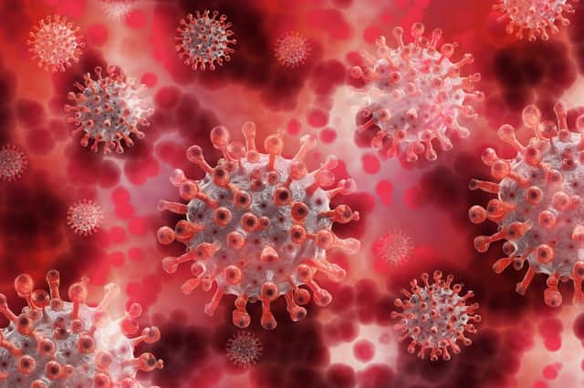 More infectious coronavirus variant already in the UK, says leading scientist advising the government (Photo: Pixabay).