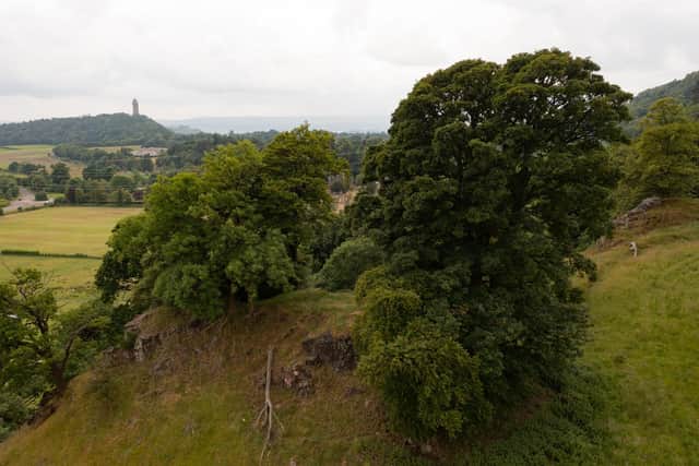 Future Forest Company has plans to plant around 250,000 native trees at Dumyat, boosting natural habitat for wildlife and helping store up climate-warming carbon