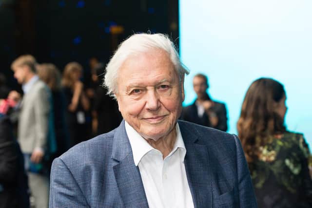 Sir David Attenborough has spelled out the dangers facing humanity as a result of species extinction and climate change in no uncertain terms (Picture: Jeff Spicer/Getty Images)