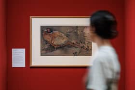 Joseph Crawhall's Cock Pheasant with Foliage and Berries goes on show at National Galleries Scotland after being accepted by the UK Government in lieu of inheritance tax. PIC: Photo by Nick Mailer.