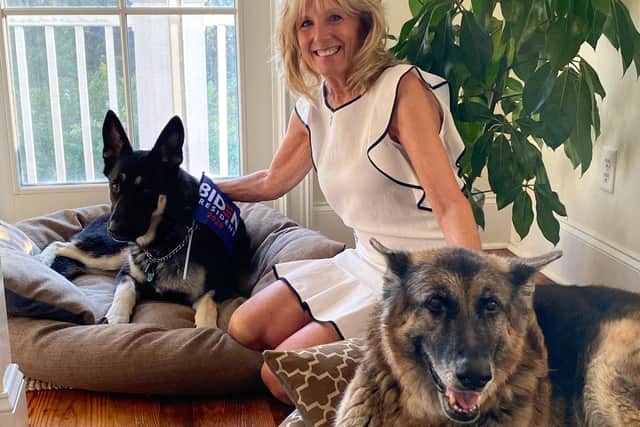 Joe and Jill will be joined by their two German Shepherds in the White House