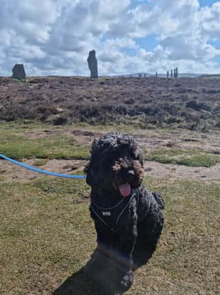 Exploring the Ring of Brodgar, Orkney. Pic: R Erskine