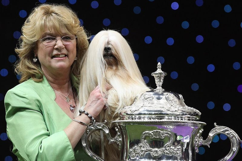 Owner Margaret Anderson and her Lhasa Apso Elizabeth pose for photographs after winning Best in Show at the 2012 Crufts dog show.