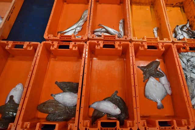 The catch from the stern trawler 'Nicola Anne' is graded before sale in the fish market at Sutton Harbour in Plymouth. Picture: Ben Stansall/AFP via Getty Images