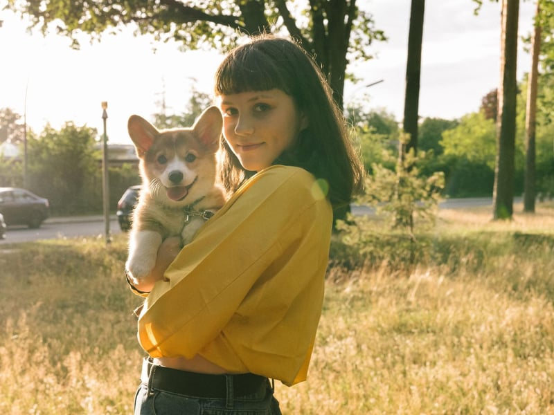 Whether you go for the Pembroke or Cardigan variety, the Instagrammable Corgi is a breed that's easy to control for first-time dog owners and happy living in smaller homes. Being easy to train and their general playful demeanor also makes them a top pick for teens.