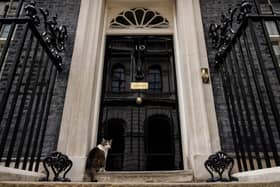 Larry the Downing Street cat sits at the door to number 10 Downing Street. (Photo by Dan Kitwood/Getty Images)