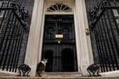 Larry the Downing Street cat sits at the door to number 10 Downing Street. (Photo by Dan Kitwood/Getty Images)