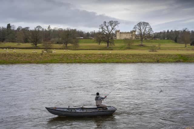 Salmon have been caught on the Tweed. Picture: Phil Wilkinson
