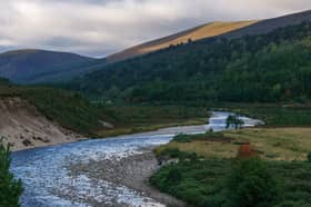 Danish clothing tycoon Anders Holch Povlsen is now Scotland’s single largest private landowner after buying up a vast swathe of land covering around 90,000 hectares across 13 estates in Sutherland and the Cairngorms, including Glen Feshie (above), with plans for nature restoration and rewilding on a grand scale