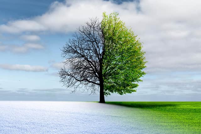 According to the Met Office, in 2023 the Spring season will begin on Wednesday, March 1.