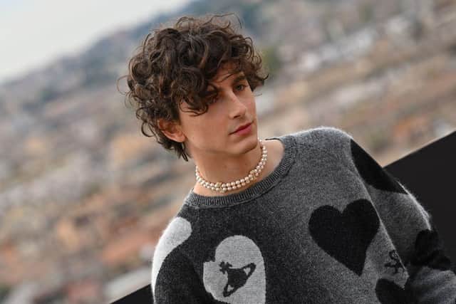 US actor Timothee Chalamet poses during a photocall for the film "Bones And All" on November 12, 2022 in Rome. (Photo by Andreas SOLARO / AFP) (Photo by ANDREAS SOLARO/AFP via Getty Images)