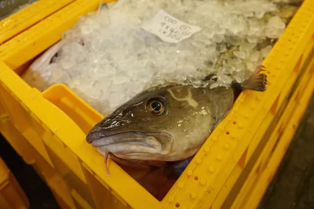 Scottish fishermen are worried that stocks of important species such as haddock, mackerel, herring and cod could be hit by offshore energy developments in their spawning and nursery grounds. Picture: SFA