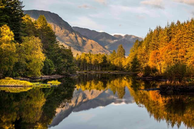 Trees displaying autumn colours in the Scottish Highlands. Picture: Jane Barlow/PA