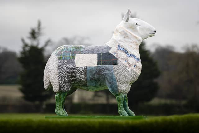 The Woolly Back