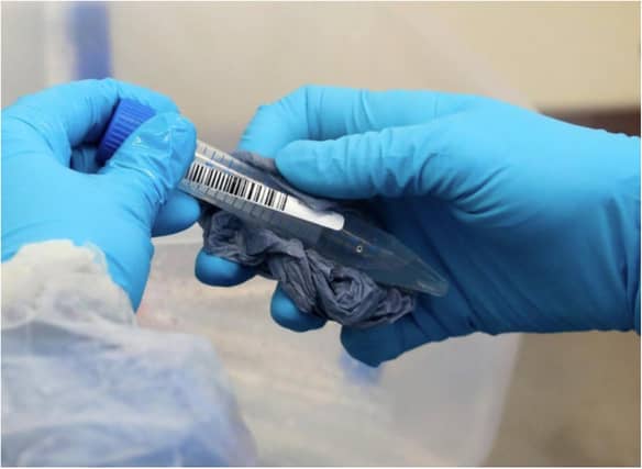 The German government has said it is suspending use of the Oxford/AstraZeneca coronavirus vaccine over new reports of dangerous blood clots