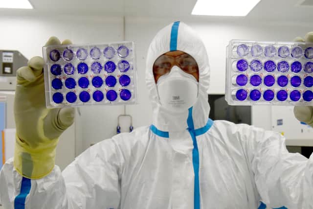 French engineer-virologist Thomas Mollet looks at 24 well plates adherent cells monolayer infected with a Sars-CoV-2 virus at the Biosafety level 3 laboratory (BSL3) of the Valneva SE Group headquarters near Nantes in western France. Picture: Jea-Francois Monier/AFP via Getty Images