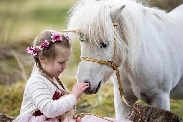 Emily Bell (4) meets Pumpkin the Unicorn (Miniature Shetland Pony) at the Unicorn Experience in West Lothian
