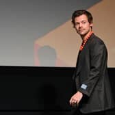 Harry Styles speaks onstage at the "My Policeman" Press Conference during the 2022 Toronto International Film Festival at TIFF Bell Lightbox on September 11, 2022 in Toronto, Ontario. (Photo by Matt Winkelmeyer/Getty Images)
