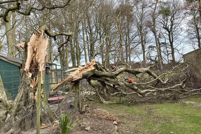 Storm Corrie caused extreme damage and brought down power lines throughout the UK.