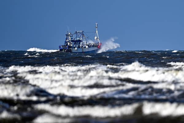 Successive pledges have been made to ban the most damaging fishing methods from sensitive seabed areas to preserve important habitats and species, but nine years after Scotland’s network of marine protected areas was first created, bottom-trawling and dredging are still allowed in more than half of the sites. Picture: Jeff J Mitchell/Getty Images