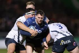 Tom Roebuck of Sale Sharks is wanted by Scotland as well as England.