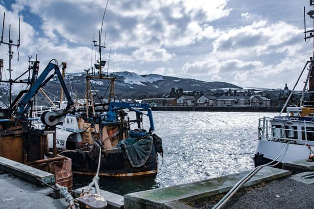 Campbeltown Harbour, in the town that inspired the fictional Kinloch, where the DCI Daley books are set. Meyrick has also just published the second of three novellas set in the fictional town, this time "a winter novel", A Toast to Old Stones, set in the 1960s and featuring some of the same characters, which is more comedy than crime.