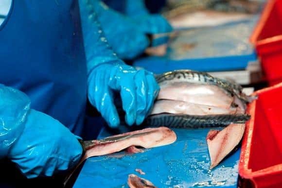 A host of processing businesses and fishing vessels have received awards from the Fund.