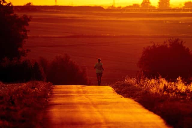 A man uses cool morning hours for a run on a small road during the heatwave in Europe, July 2022 (AP Photo/Michael Probst)