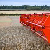 Crop yields could take a hit due the lack of fertiliser