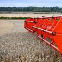 Crop yields could take a hit due the lack of fertiliser