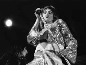 Rod Stewart, once a Conservative supporter, has suggested Labour should run the country instead