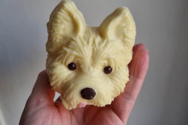 The head of M&S's Dougal the puppy