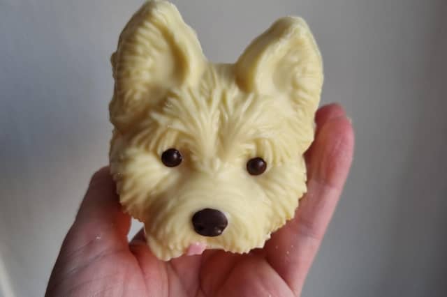 The head of M&S's Dougal the puppy