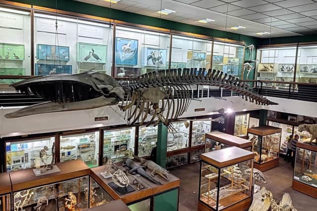 The Zoology Museum has recently reopened.