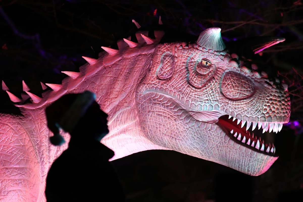 PHOTOS: See Dinosaur With the LIGHTS ON in Disney World