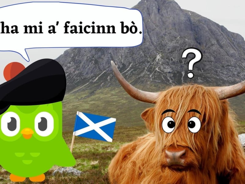 Scottish Gaelic, the endangered native language of Scotland, hit 1.5 million learners on the language-learning application Duolingo in November. This fell on St Andrew's Day which is an important Scottish celebration dedicated to the country's patron saint.
