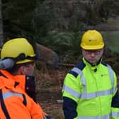 Richard Thomson MP visiting SSEN staff engaged in resilience work in the aftermath of Storm Arwen.