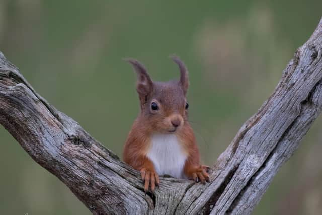 The plundering of natural resources is putting nature at risk (Picture: Sandra Graham)