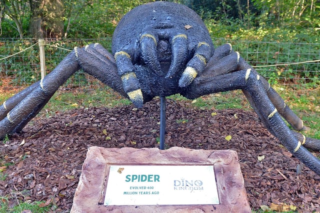 Exhibits include this huge prehistoric spider