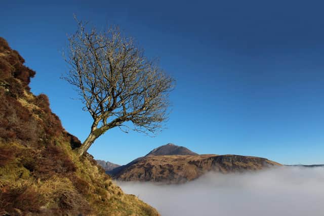 Human activities have taken their toll on the Arran landscape over the past 3,500 years but work is ongoing to plant new trees - including the rare Arran whitebeam