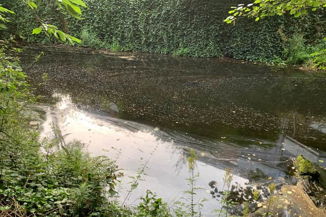 The Water of Leith, just upstream from Dean Village, appears completely still (Picture: Ian Johnston)