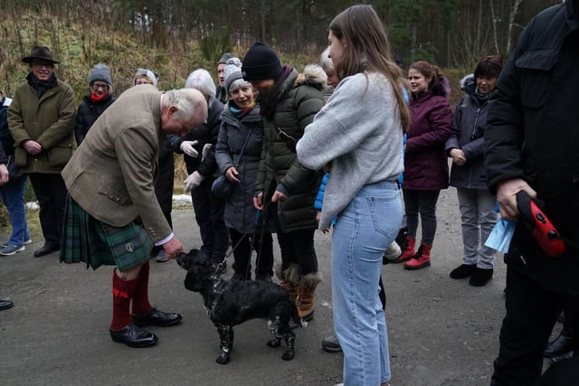 Charles is greeted by crowds of humans and animals alike.