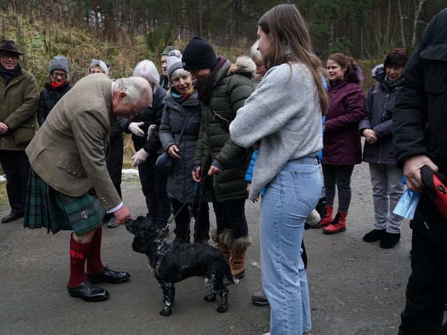 Charles is greeted by crowds of humans and animals alike.