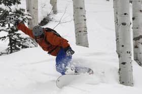 Snowboarding through trees is thrilling but you have to keep your wits about you